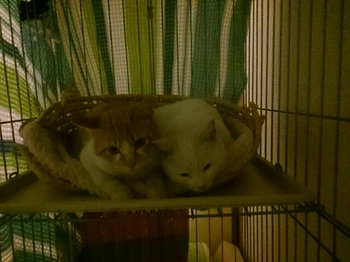 20150315003512421.jpg