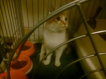 20150315003847236.jpg