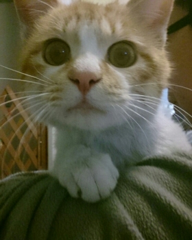 20150315004239422.jpg