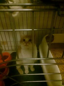 20150315004419423.jpg