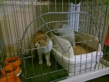 20150315004711471.jpg
