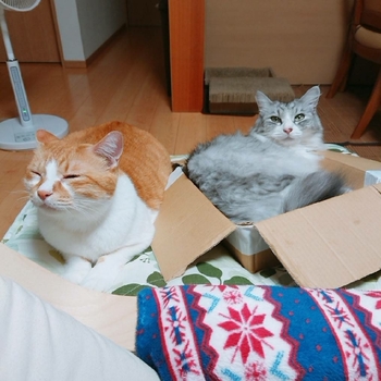 20190906160534424.jpg